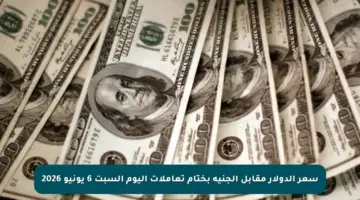 سعر الدولار مقابل الجنيه بختام تعاملات اليوم السبت 6 يونيو 2026